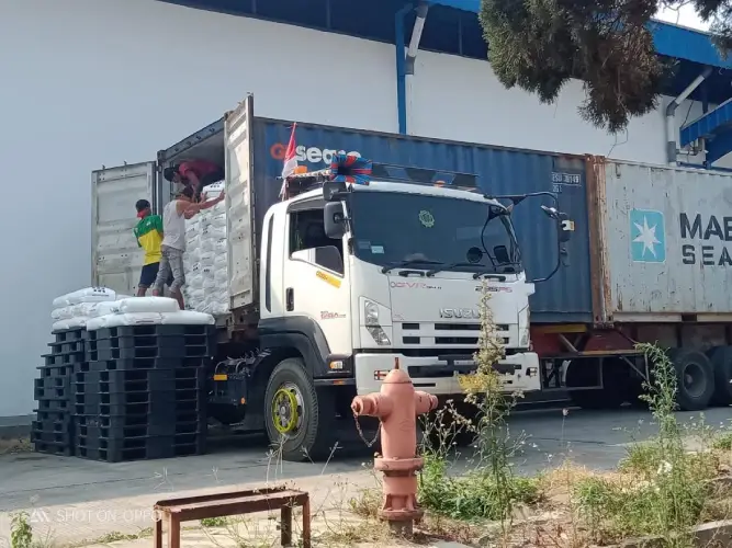 PT Sinergi Trans Logistik